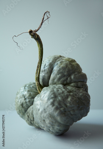 Gourd Still life