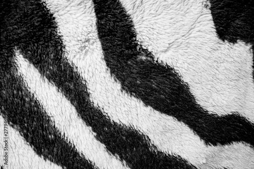 background texture coloring zebra skin