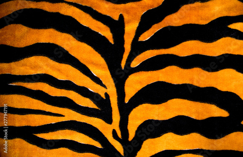 background texture coloring tiger skin