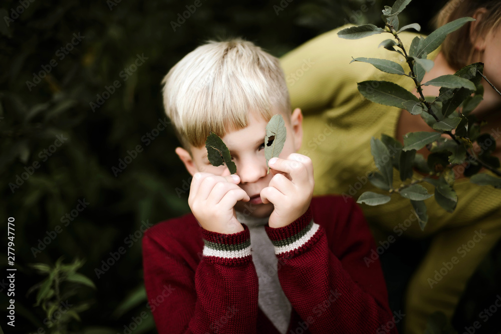 Boy holding leaves looking at camera while standing in forest Boy holding leaves looking at camera while standing in forest
