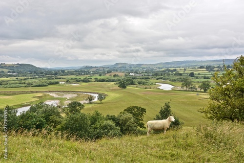 A View from Dryslwyn Castle
