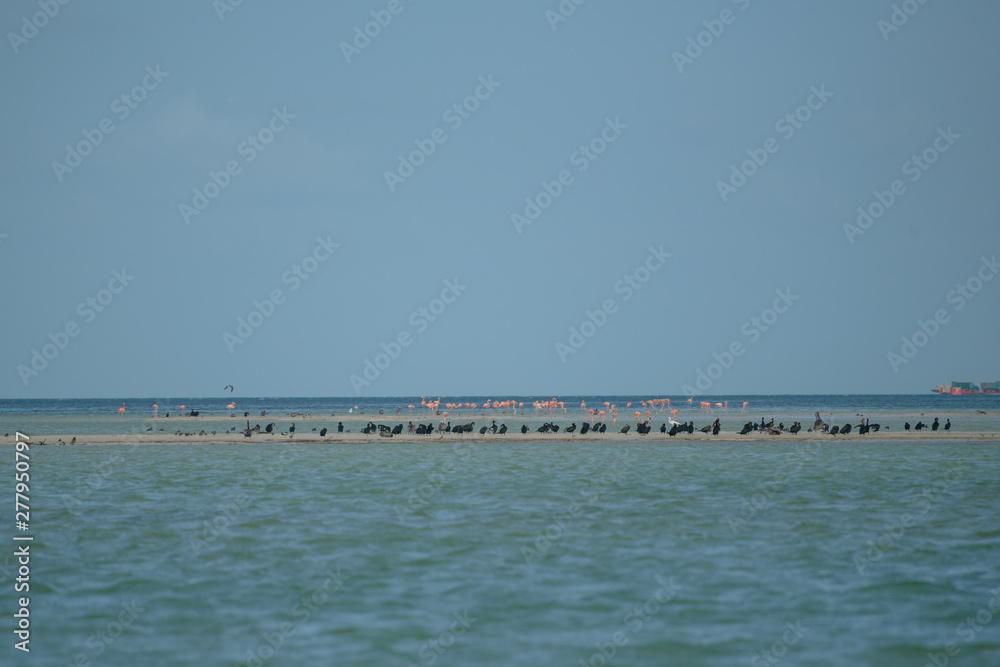 Beautiful Wide Angle Panoramic Photography Taken in the Beautiful Mexican Island, Holbox 