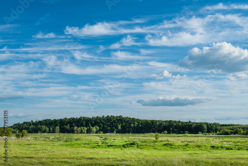 Pictorial rural nature background with green grazing and deep blue cloudy sky © ilyaska