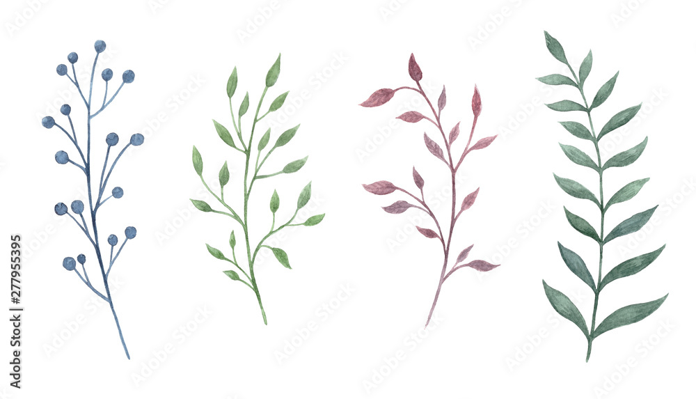 Branches and leaves 1 Branches and leaves 1