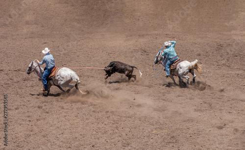 фотографія Team Roping at a Rodeo