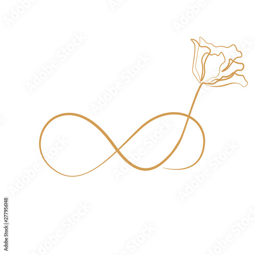 Elegant infinity sign, vector illustration