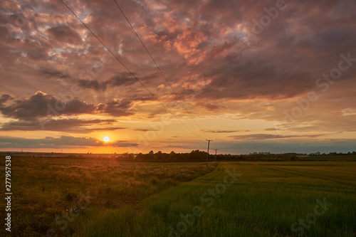 Rural Hertfordshire Sunset