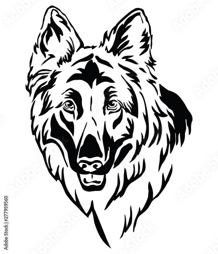 Decorative portrait of Longhaired German Shepherd vector illustration