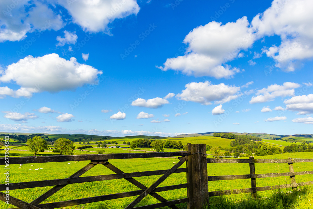 Rural landscape with wooden fence in Yorkshire Dales, England, UK