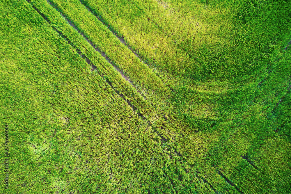 Fototapeta premium Scenic top down view of meadow in Finnish countryside