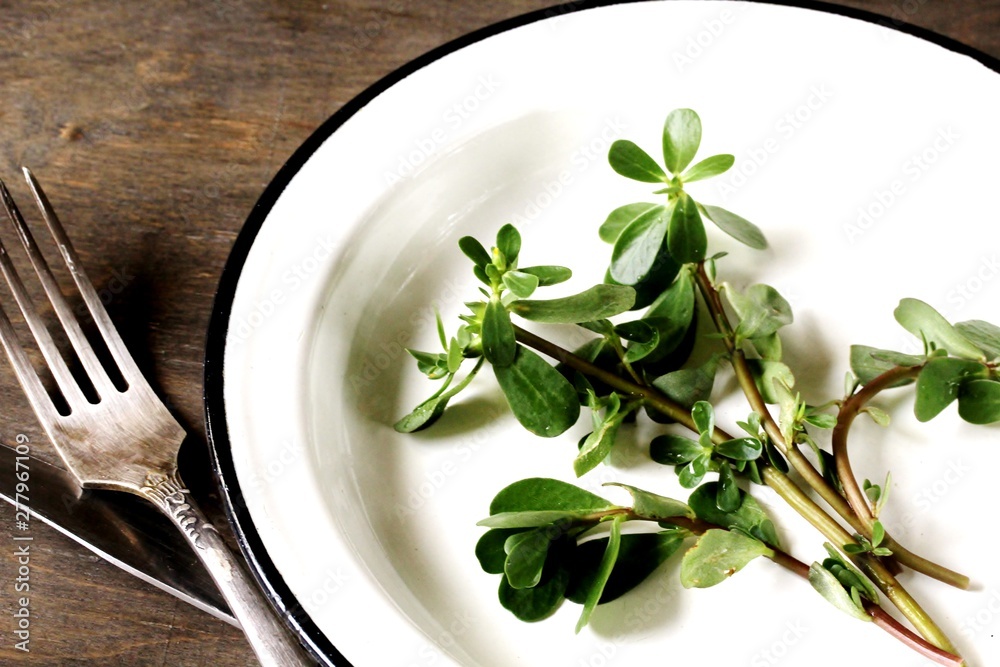 purslane on the plate. potulak- edible useful weed. concept of edible wild plants. Turkish, Greek, Mexican cuisine. purslane on the plate. potulak- edible useful weed. concept of edible wild plants. Turkish, Greek, Mexican cuisine.