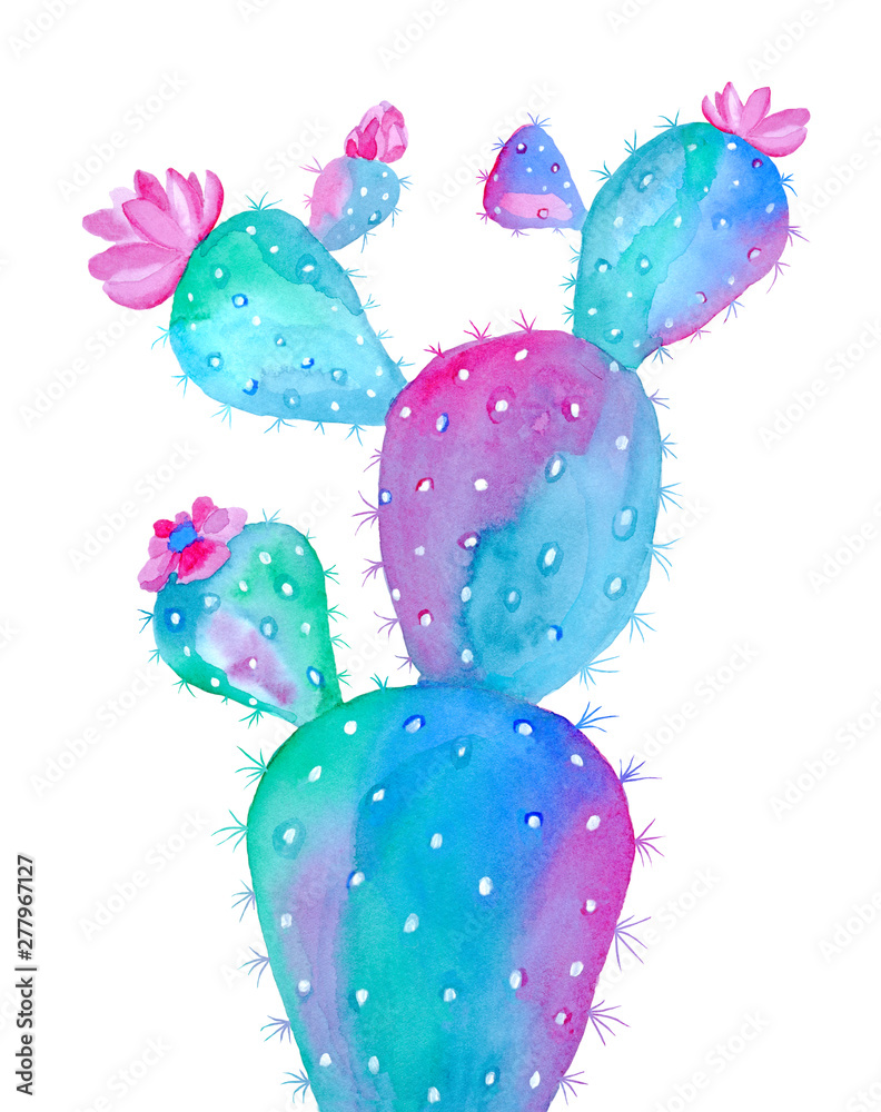 Watercolor green and pink cactus  isolated on white background. Hand painted illustration. 