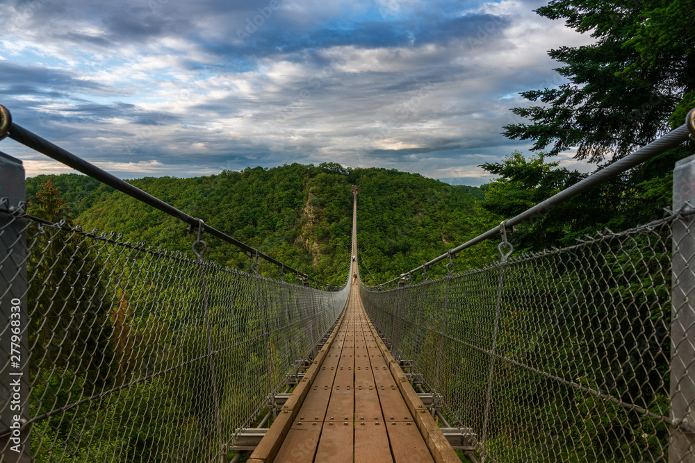 Obraz premium View of a suspension bridge in Germany, Geierlay.