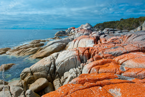 Bay of Fires, Tasmania, Australia photo