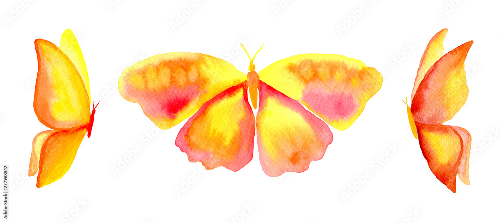 Watercolor yellow butterfly set isolated on white background. Hand ...