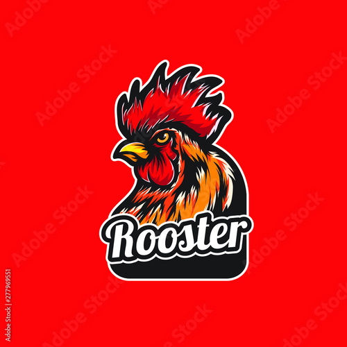 Vector illustration of rooster. Chicken rooster head mascot. Rooster logo icon