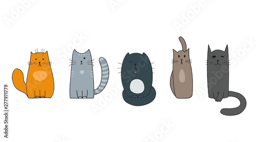 Five cats with different characters