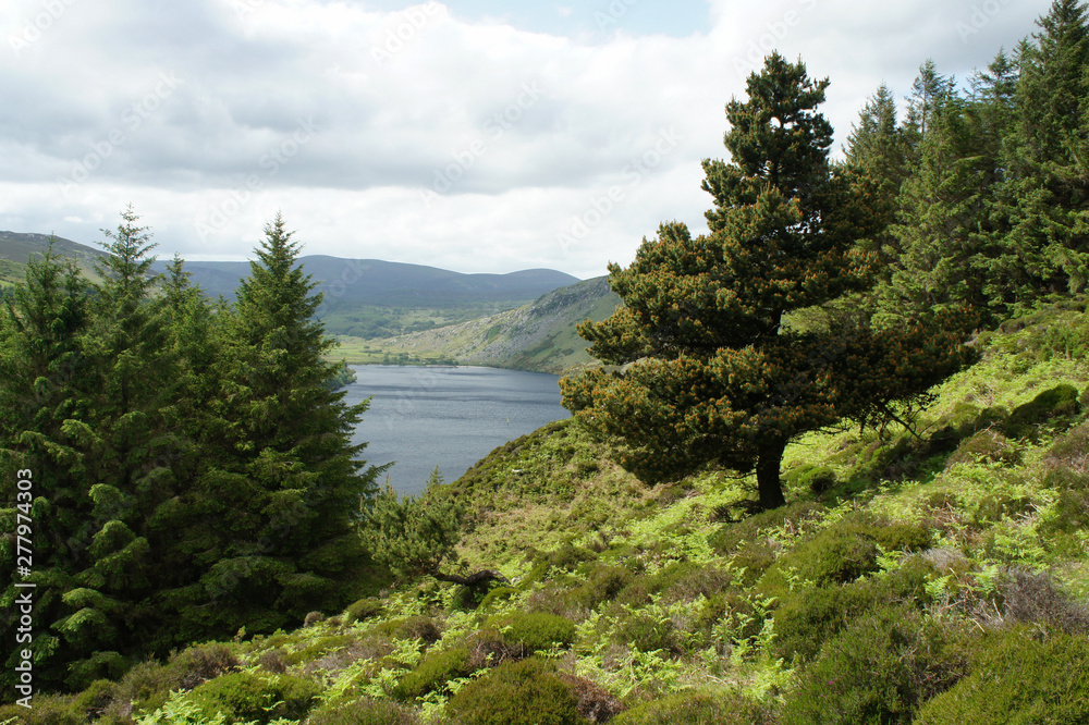 Obraz premium On the shore of Lake Dan.Wicklow Mountains.Ireland.