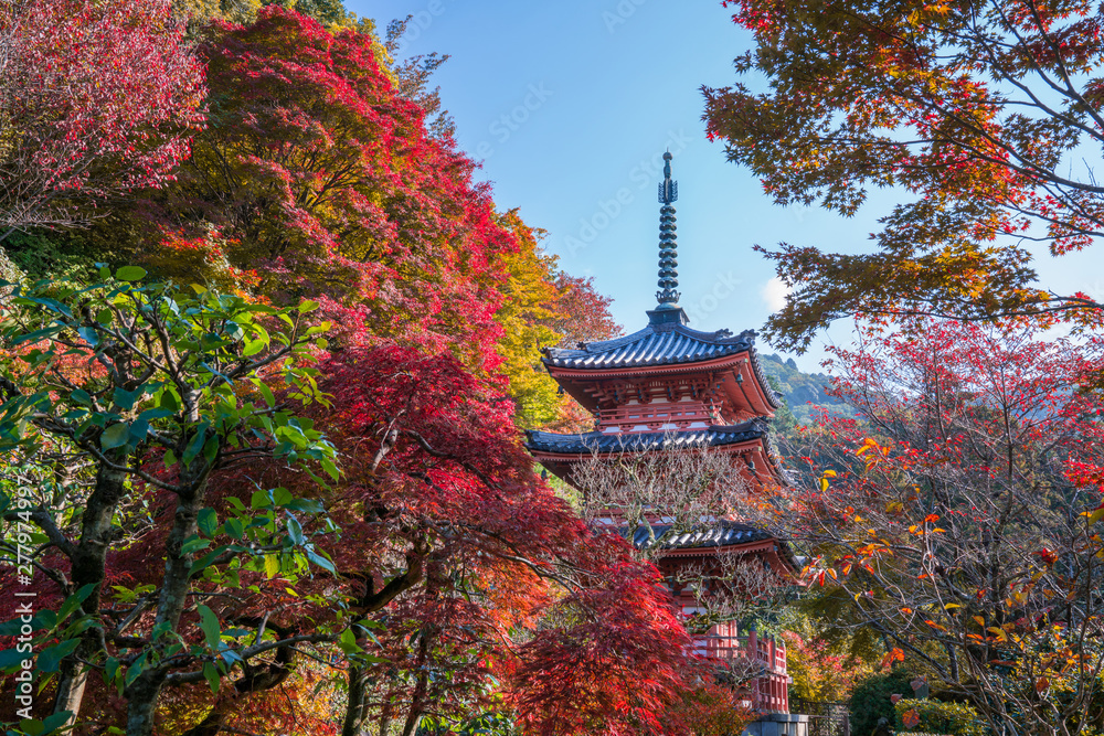 京都　三室戸寺の紅葉