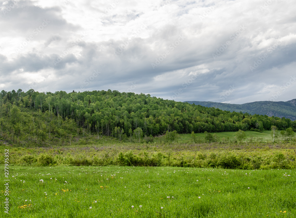 fields and forest of Saguenay Quebec Canada fields and forest of Saguenay Quebec Canada