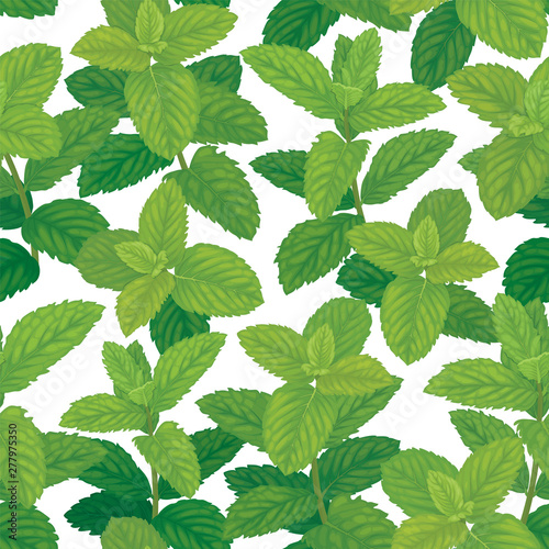 Seamless pattern of green mint leaves on background template. Vector set of herbal element for advertising, packaging design, greeting card and fashion design.