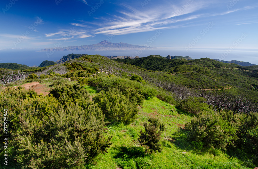 Fototapeta premium View from Garajonay towards Tenerife, Garajonay National Park, La Gomera, Spain