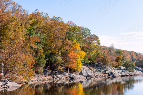 Great Falls yellow orange autumn tree reflection view in canal lake river surface during autumn in Maryland colorful leaves foliage