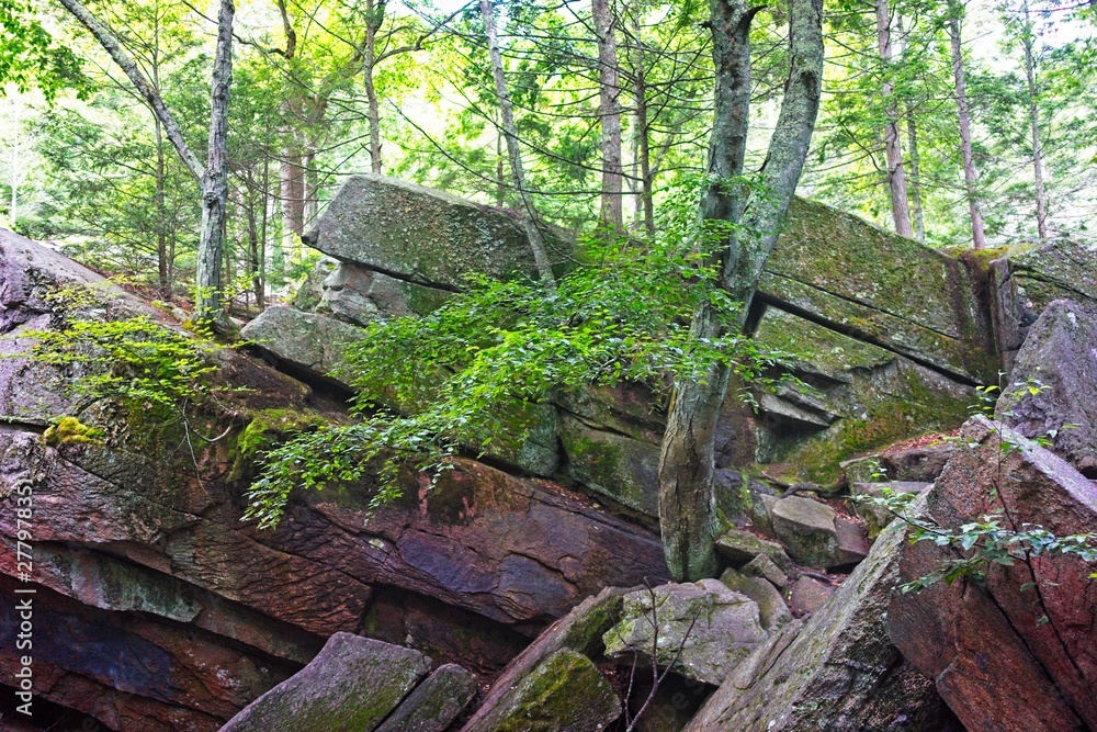 Purgatory Chasm