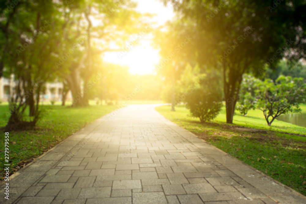 Obraz premium Garden walkway and sunlight