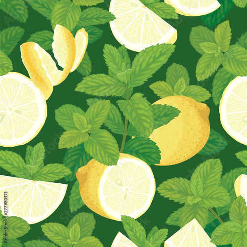 Green mint leaves with lemon on background template. Vector set of herbal element for advertising, packaging design, greeting card and fashion design.