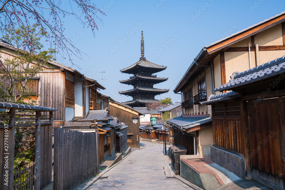Fototapeta 京都 八坂の塔