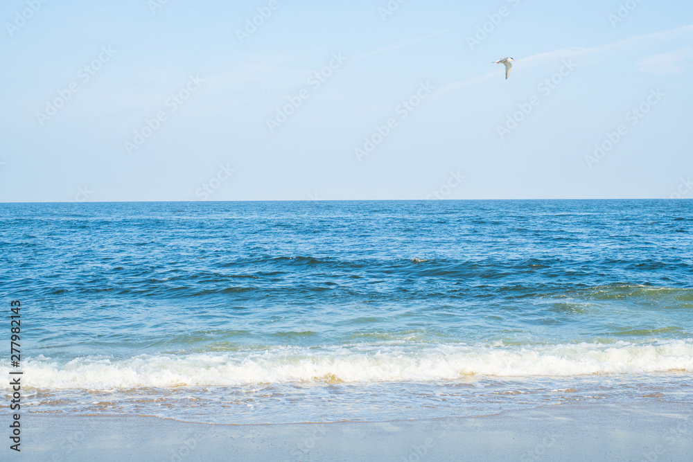 Ocean. Beach with white sand and blue sky. Sea shore