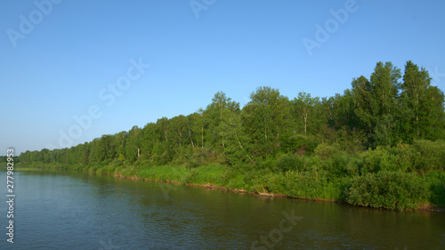 Forest River Shore