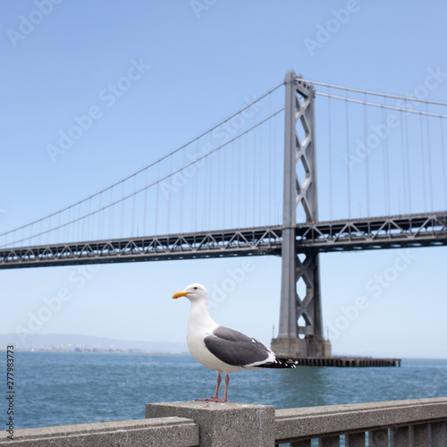 San Francisco – Oakland Bay Bridge photo