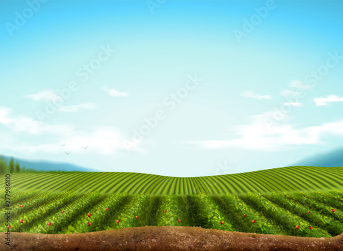 Green field background