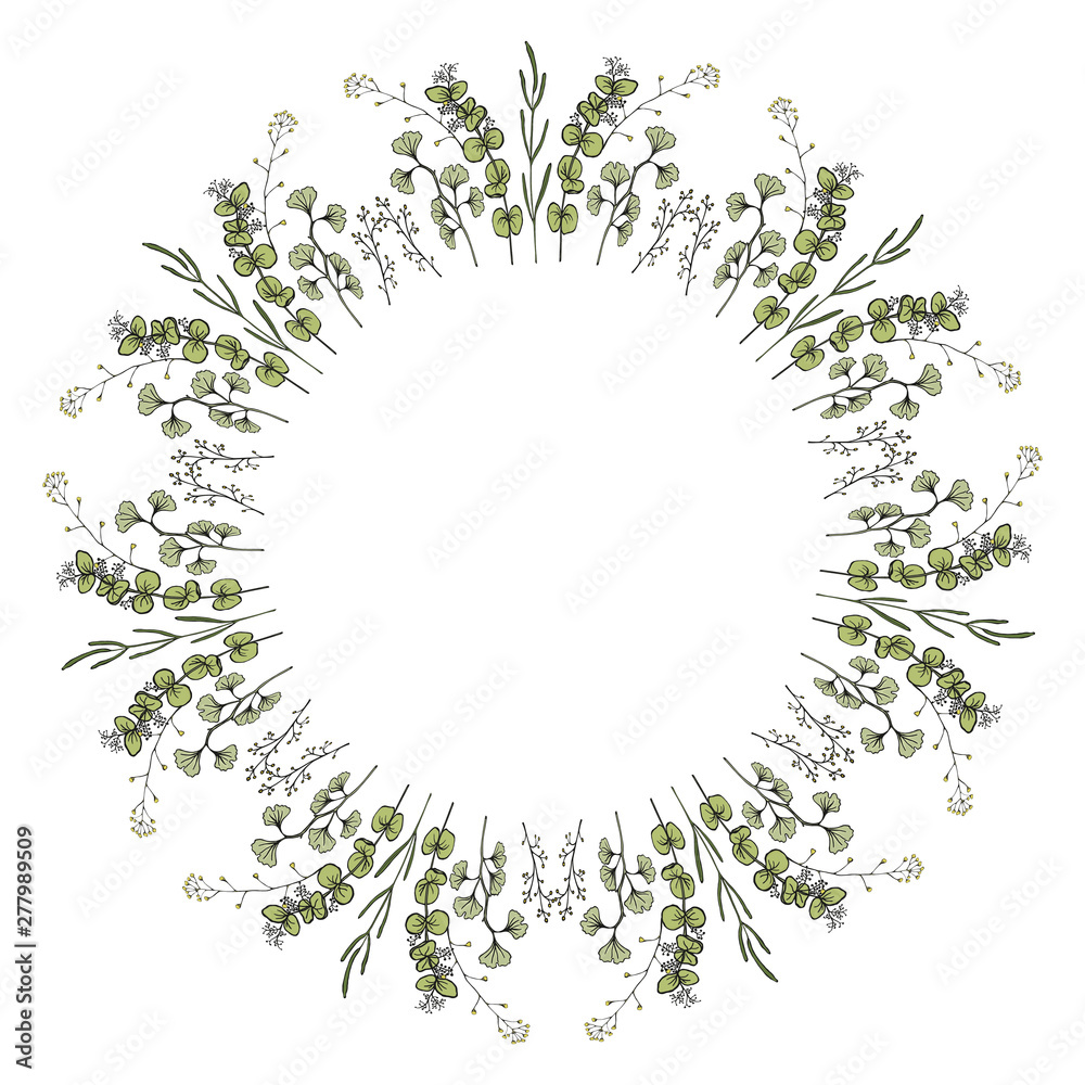 A wreath of branches with leaves. Ginkgo, eucalyptus. Hand draw colorful vector illustration isolated on white background