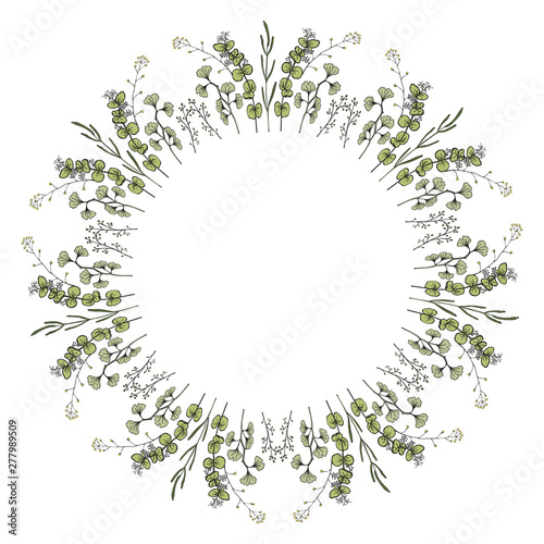 A wreath of branches with leaves. Ginkgo, eucalyptus. Hand draw colorful vector illustration isolated on white background