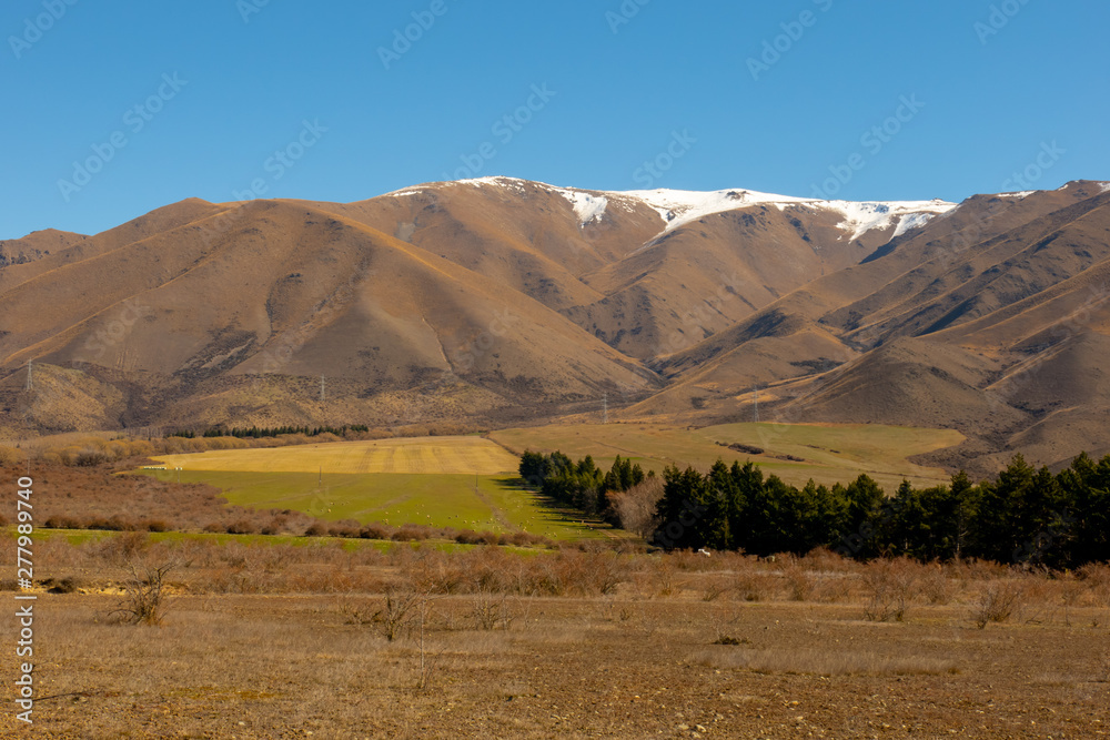 Rural agricultural farming country in New Zealand