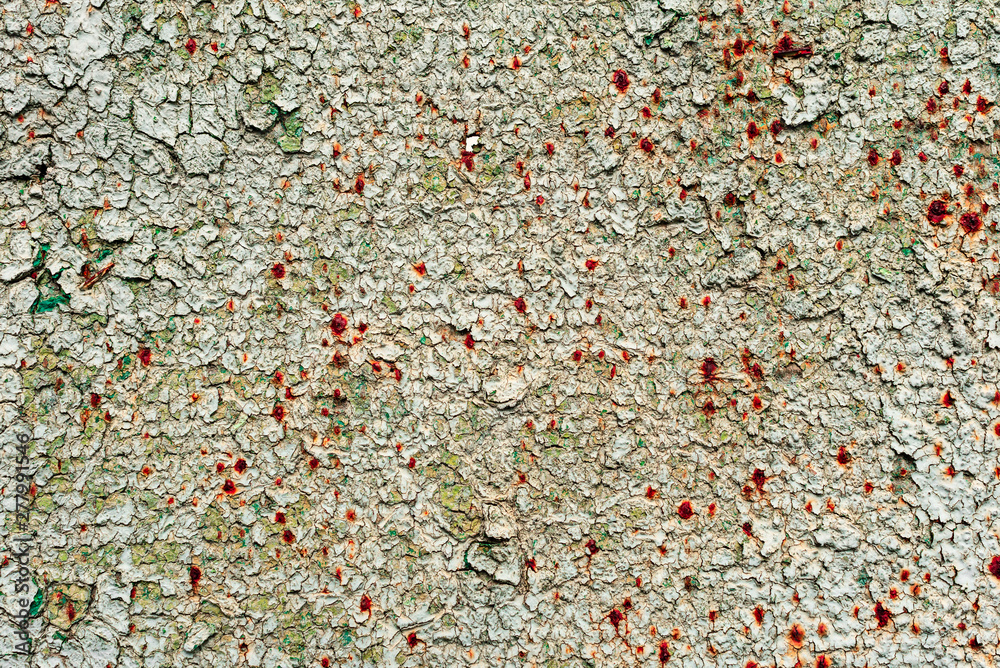 Metal texture with scratches and cracks which can be used as a background Metal texture with scratches and cracks which can be used as a background