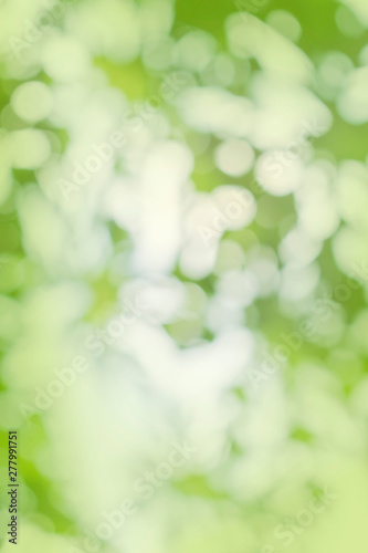 natural green bokeh background in a concept of plant and product from natural