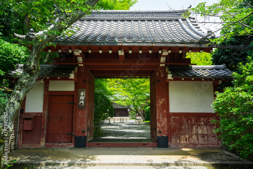 京都　常照寺の吉野門　夏 © Route16