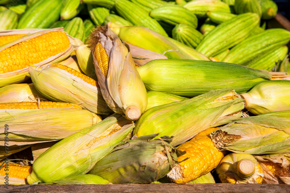 Mais - Maiskolben - Essen - Corn 