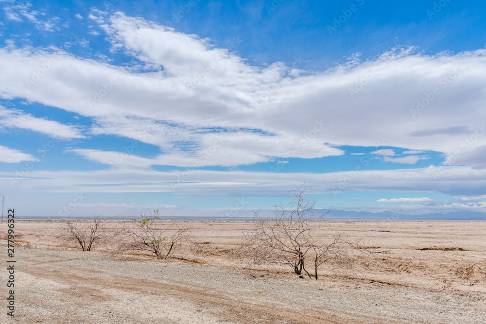 Dry desert landscape with mountains in the distance