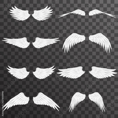 White wings bird animal angel fly 3d realistic design decoration element set transparent background vector illustration