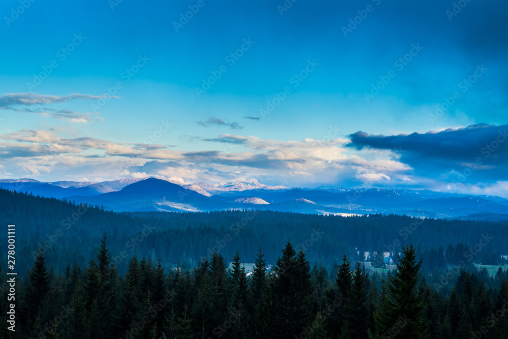 Montenegro, Wide green forested conifer tree covered hills in durmitor national park nature landscape near zabljak in the evening after sunset from above a mountain peak