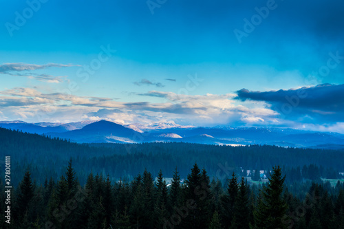 Montenegro, Wide green forested conifer tree covered hills in durmitor national park nature landscape near zabljak in the evening after sunset from above a mountain peak
