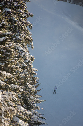 Skier in the shaded ski track