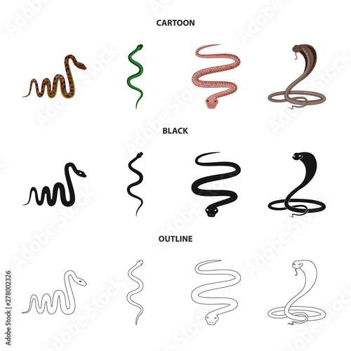 Isolated object of mammal and danger symbol. Collection of mammal and medicine stock symbol for web.