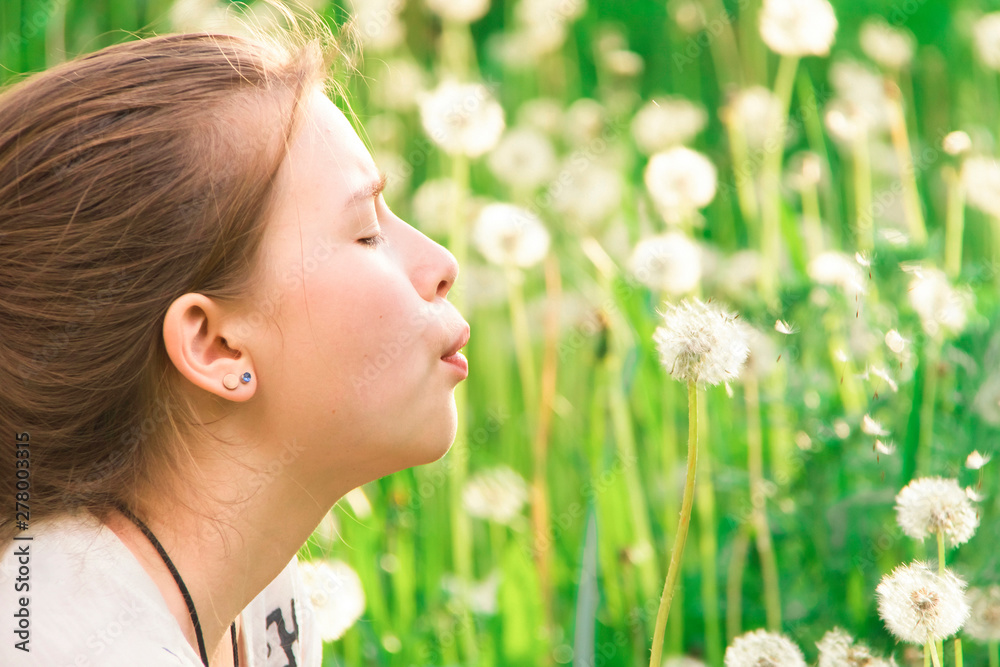 Closeup of a girl blowing on a dandelion. Closeup of a girl blowing on a dandelion.