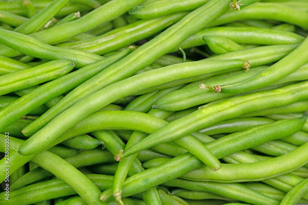 Grüne Bohnen, Phaseolus vulgaris Grüne Bohnen, Phaseolus vulgaris
